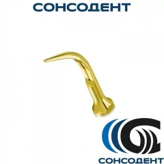 Насадка GD5T для снятия зубных отложений Woodpecker, GD5T