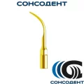 Насадка G5T для снятия зубных отложений Woodpecker, G5T