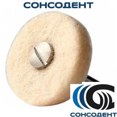 Kagayaki Disuku F/ Кагаяки Дисуку Ф войлочные круги фетр d17 25 шт., 6011