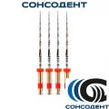 Reciproc NiTi / Реципрок НиТи маш.файлы L=25, V040012025025, 025 (4 шт) VDW, V040012025025